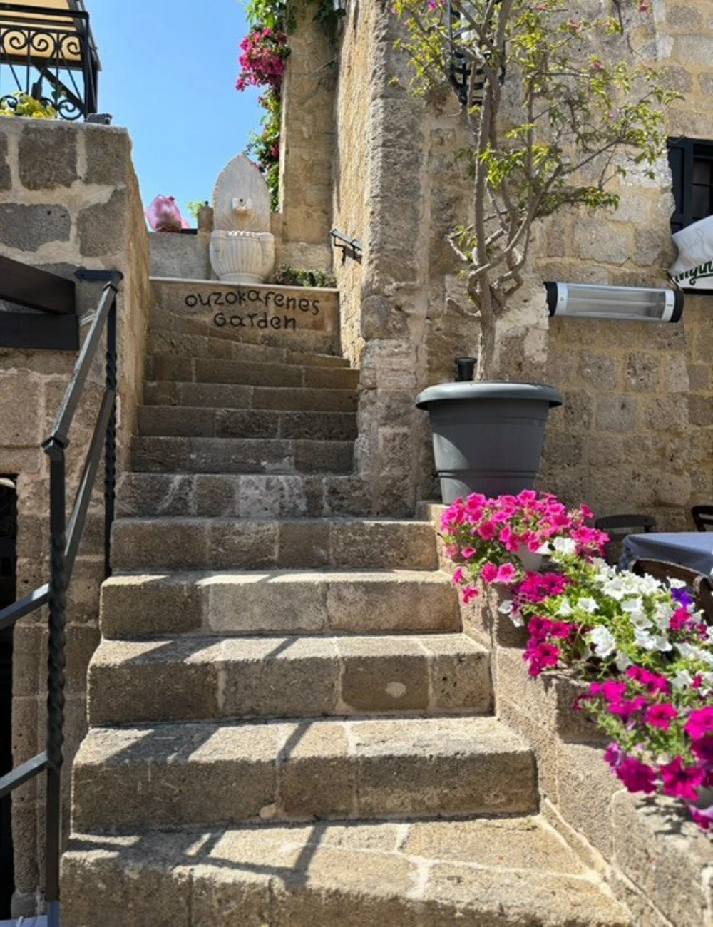 494358962_1493369908112695_7937145057408030229_n_22_1000x1300